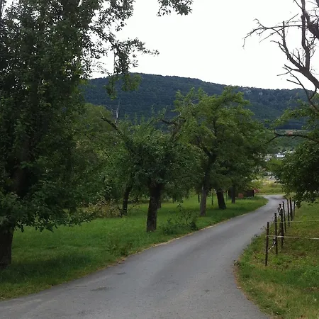 Heike Dettingen an der Erms