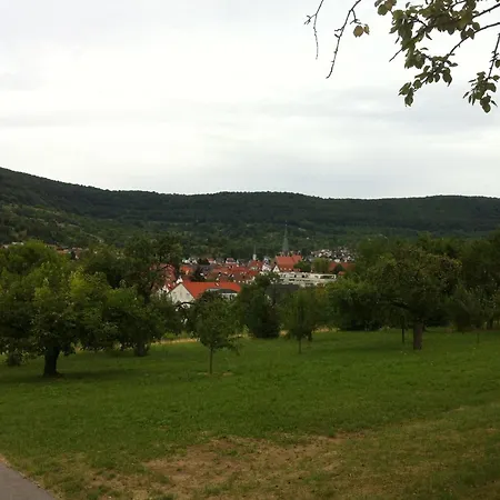 Heike Dettingen an der Erms